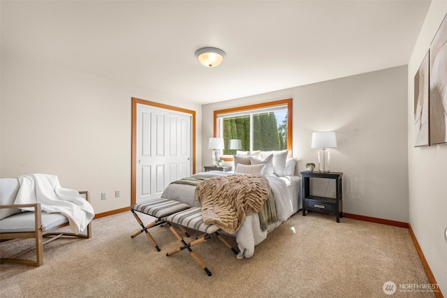 241 Raft Island Dr NW, Gig Harbor, WA 98335 - photo 20