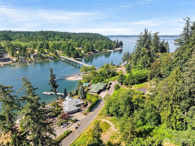 241 Raft Island Dr NW, Gig Harbor, WA 98335 - photo 39