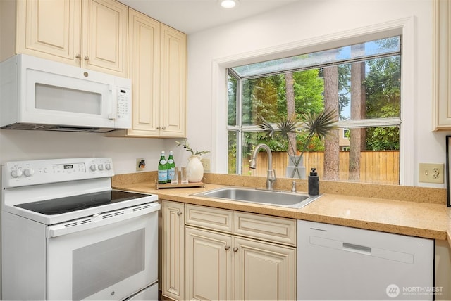 11109 116th Ave NE, Kirkland, WA 98033 - photo 7