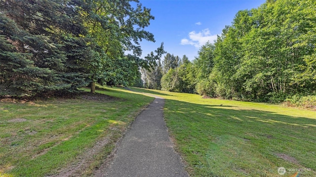 12607 SE 255th Pl, Kent, WA 98030 - view of home's community featuring a yard