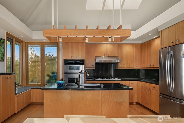 2337 NW 194th Pl, Shoreline, WA 98177 - kitchen with appliances with stainless steel finishes, under cabinet range hood, light wood-style flooring, and dark countertops
