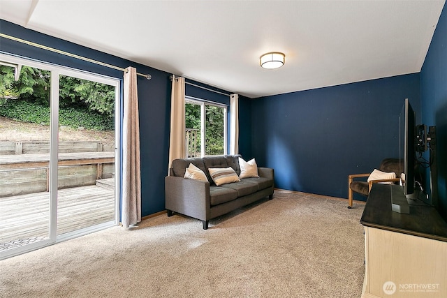 1810 S Tyler St, Tacoma, WA 98405 - living room featuring carpet flooring