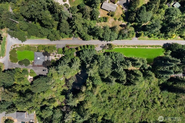 6617 247th Ave NE, Redmond, WA 98053 - photo 31