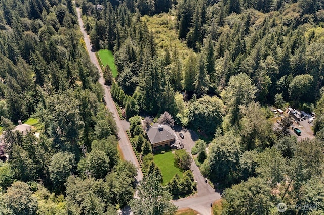 6617 247th Ave NE, Redmond, WA 98053 - photo 33