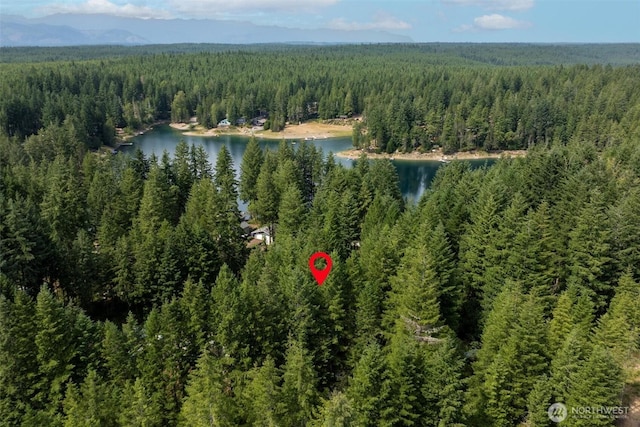 200 NE Lakeshore Dr S, Tahuya, WA 98588 - photo 27