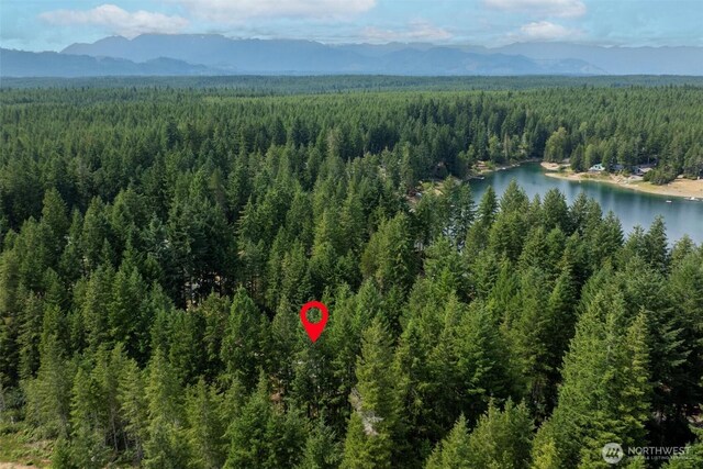 200 NE Lakeshore Dr S, Tahuya, WA 98588 - photo 25