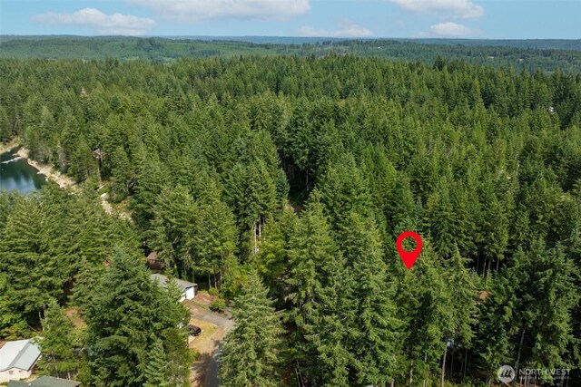 200 NE Lakeshore Dr S, Tahuya, WA 98588 - photo 24