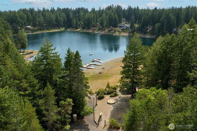 200 NE Lakeshore Dr S, Tahuya, WA 98588 - photo 30