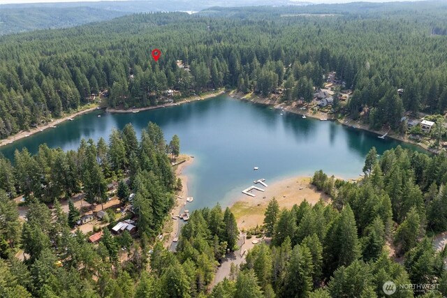 200 NE Lakeshore Dr S, Tahuya, WA 98588 - photo 28