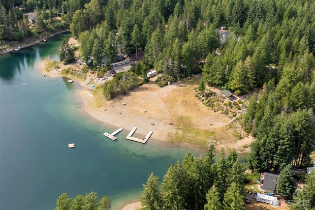 200 NE Lakeshore Dr S, Tahuya, WA 98588 - photo 32