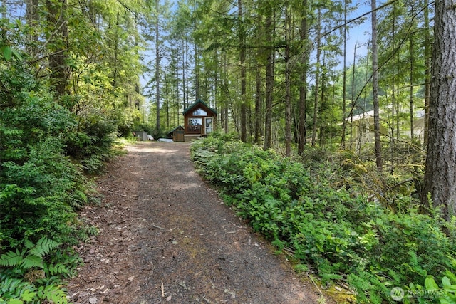 200 NE Lakeshore Dr S, Tahuya, WA 98588 - photo 33