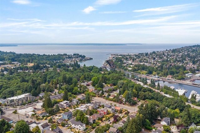 3017 Government Way, Seattle, WA 98199 - aerial view of residential area featuring a nearby body of water