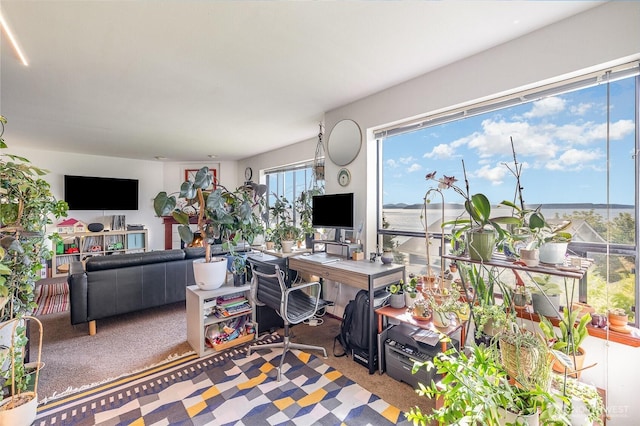 5310 SW College St, Seattle, WA 98116 - view of carpeted living room