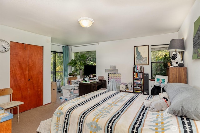5310 SW College St, Seattle, WA 98116 - view of carpeted bedroom