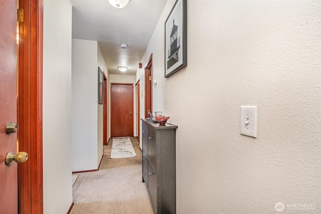 5310 SW College St, Seattle, WA 98116 - corridor featuring carpet floors
