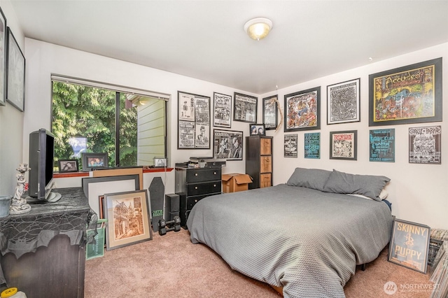 5310 SW College St, Seattle, WA 98116 - view of carpeted bedroom