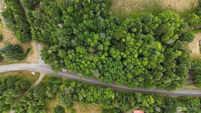 0 Woodland Dr, Port Townsend, WA 98368 - photo 3