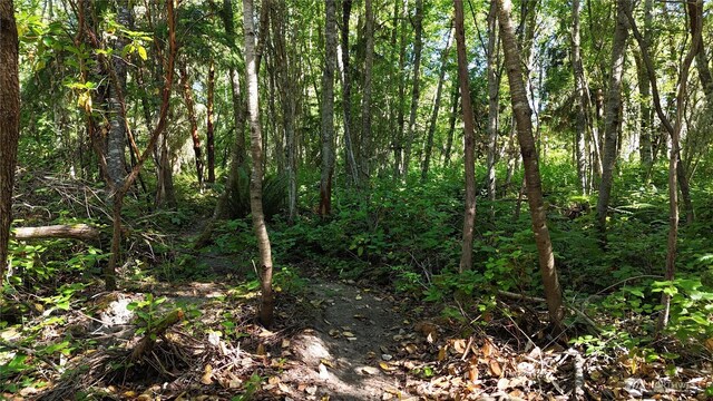0 Woodland Dr, Port Townsend, WA 98368 - photo 8