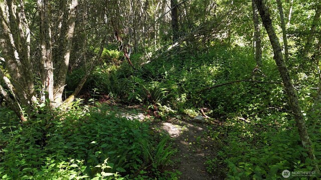 0 Woodland Dr, Port Townsend, WA 98368 - photo 10