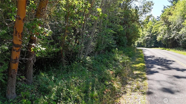 0 Woodland Dr, Port Townsend, WA 98368 - photo 2