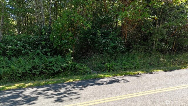 0 Woodland Dr, Port Townsend, WA 98368 - photo 12