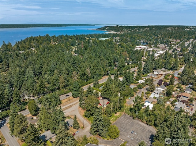 206 1st Pl S, Des Moines, WA 98198