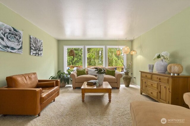 3719 27th Ave SE, Puyallup, WA 98374 - photo 20