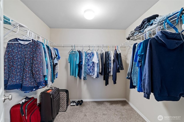 5468 Balustrade Blvd SE, Lacey, WA 98513 - spacious closet featuring carpet flooring