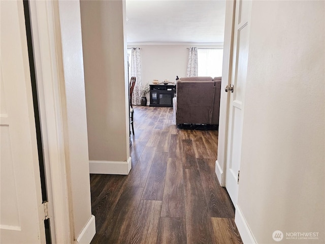 901 N Forest St Unit 109, Bellingham, WA 98225 - photo 14