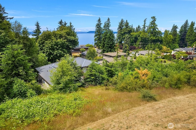 8036 Cyrus Pl, Edmonds, WA 98026 - photo 1