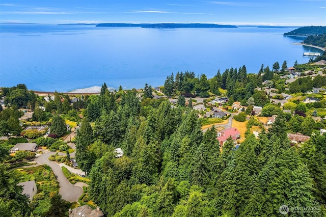 8036 Cyrus Pl, Edmonds, WA 98026 - photo 5