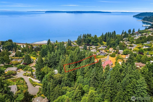 8036 Cyrus Pl, Edmonds, WA 98026 - photo 6