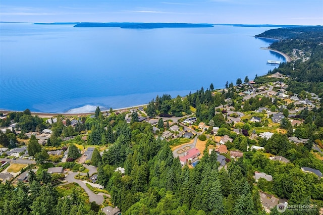 8036 Cyrus Pl, Edmonds, WA 98026 - photo 7