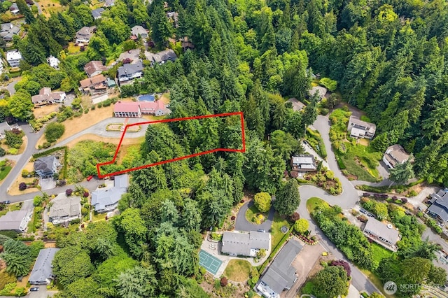 8036 Cyrus Pl, Edmonds, WA 98026 - photo 12