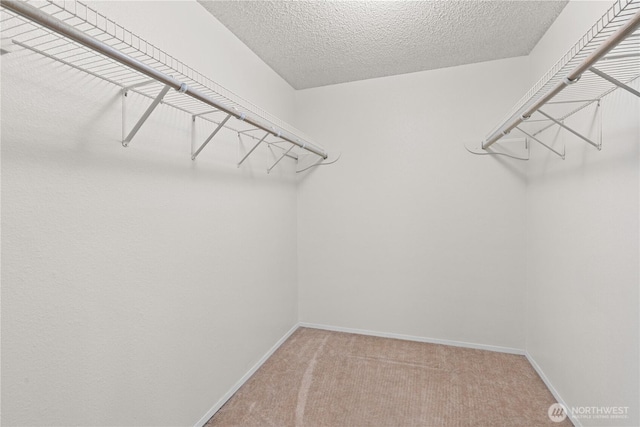 2508 32nd Ave SE, Puyallup, WA 98374 - photo 19