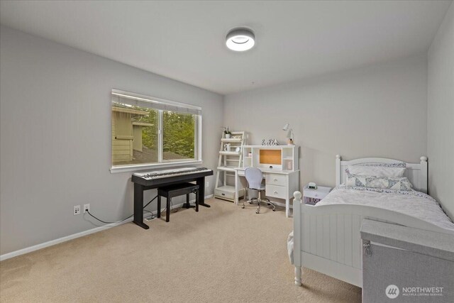 36107 SE Isley St, Snoqualmie, WA 98065 - photo 31