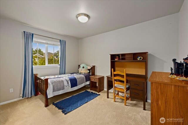 36107 SE Isley St, Snoqualmie, WA 98065 - photo 33