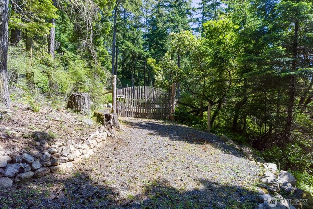 227 Bromley Dr, Orcas Island, WA 98245 - view of yard with a gate and a view of trees