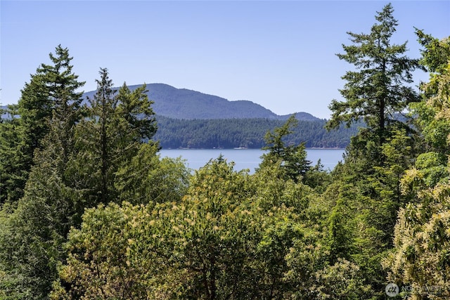 227 Bromley Dr, Orcas Island, WA 98245 - water view featuring a forest and mountains