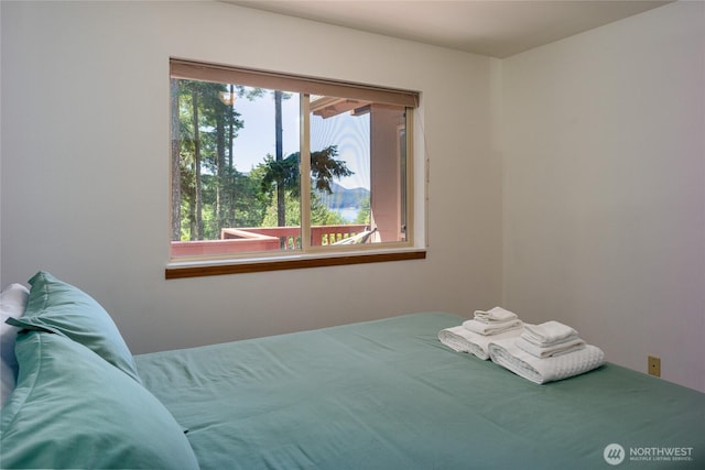 227 Bromley Dr, Orcas Island, WA 98245 - view of bedroom