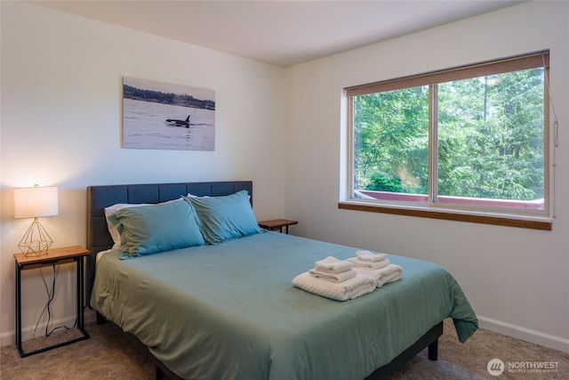 227 Bromley Dr, Orcas Island, WA 98245 - carpeted bedroom with baseboards