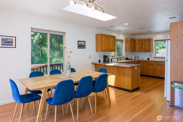 227 Bromley Dr, Orcas Island, WA 98245 - dining room featuring light wood-type flooring, a skylight, plenty of natural light, and recessed lighting