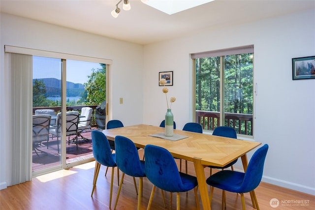 227 Bromley Dr, Orcas Island, WA 98245 - dining space featuring light wood finished floors and a skylight