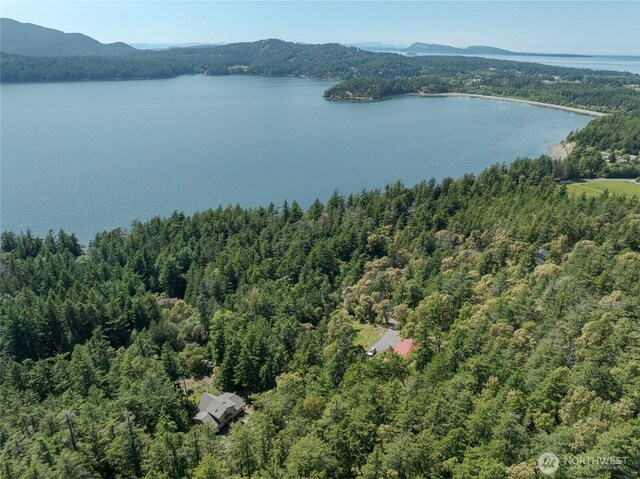 227 Bromley Dr, Orcas Island, WA 98245 - bird's eye view of a water and mountain view