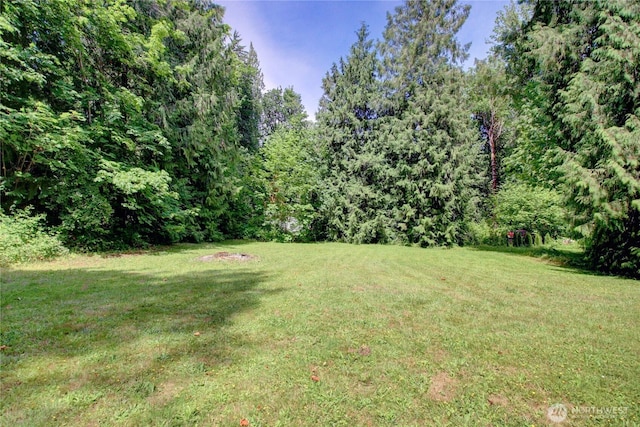 44185 Leonard Rd, Concrete, WA 98237 - photo 27
