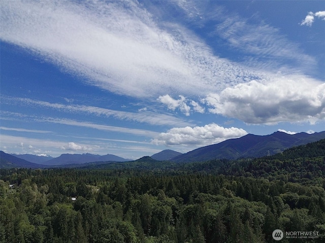 44185 Leonard Rd, Concrete, WA 98237 - photo 36