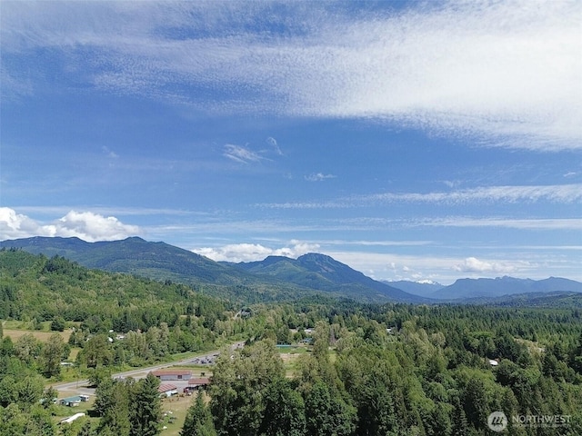 44185 Leonard Rd, Concrete, WA 98237 - photo 37