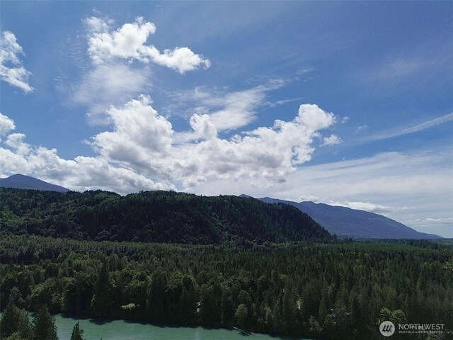 44185 Leonard Rd, Concrete, WA 98237 - photo 40
