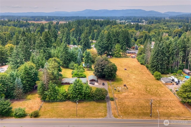 7045 Henderson Blvd SE, Tumwater, WA 98501 - photo 6