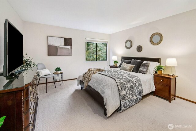 1130 5th Ave S Unit 103, Edmonds, WA 98020 - bedroom with light colored carpet and baseboards
